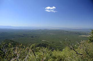 Bill Williams Mountain, Arizona, September 20, 2011